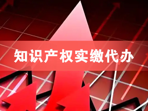六盘水知识产权实缴资本代办